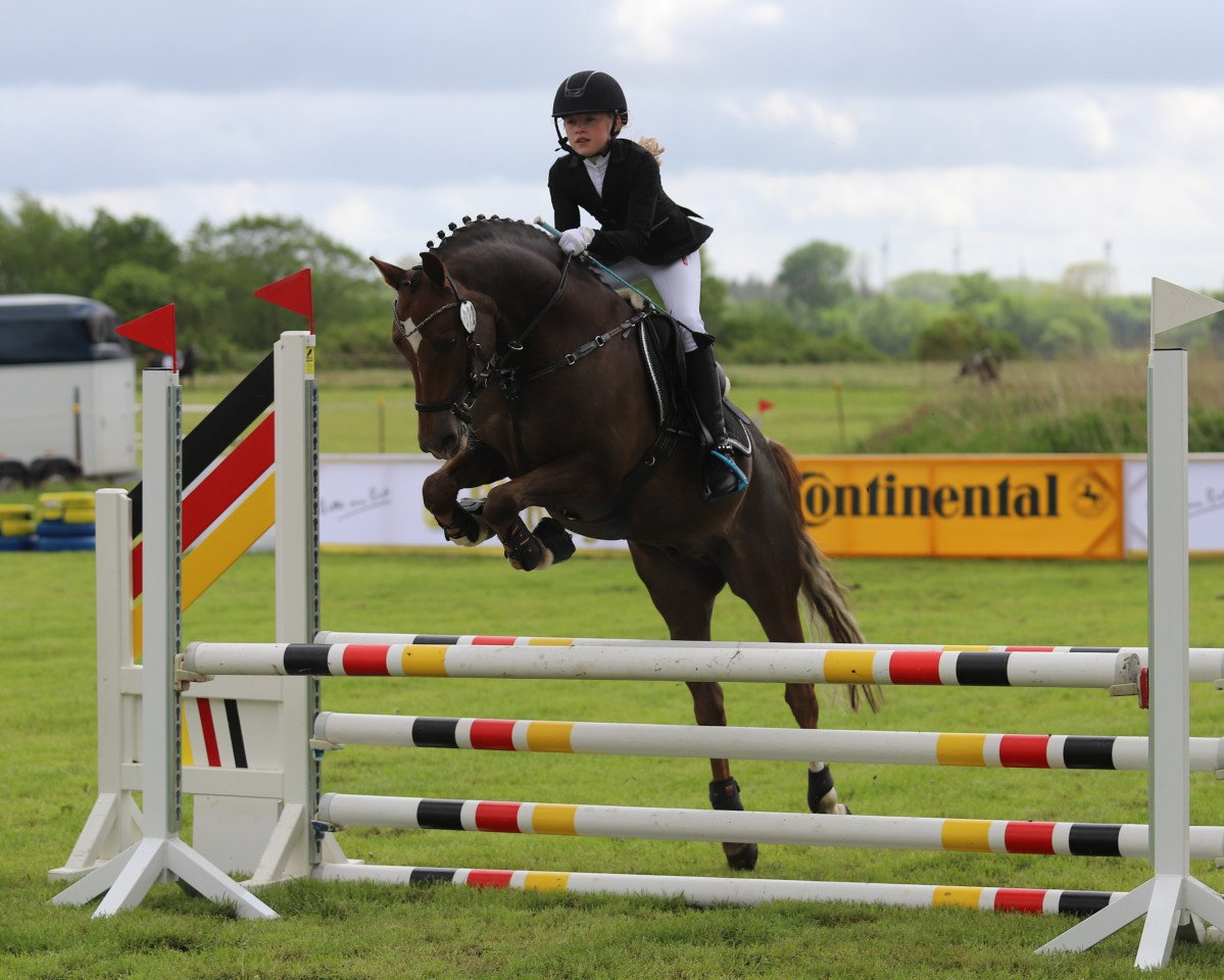 dressage horse Carbaret WE (German Riding Pony, 2011, from Cyriac WE)