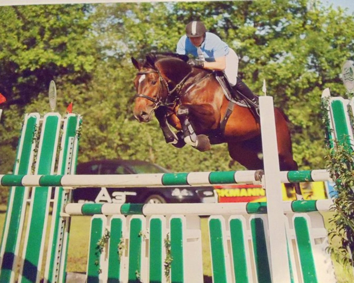 broodmare Coco (Oldenburg, 2000, from Corradino)