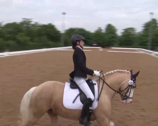 Reitturnier Neustadt/Aisch/Mfr. 2022
