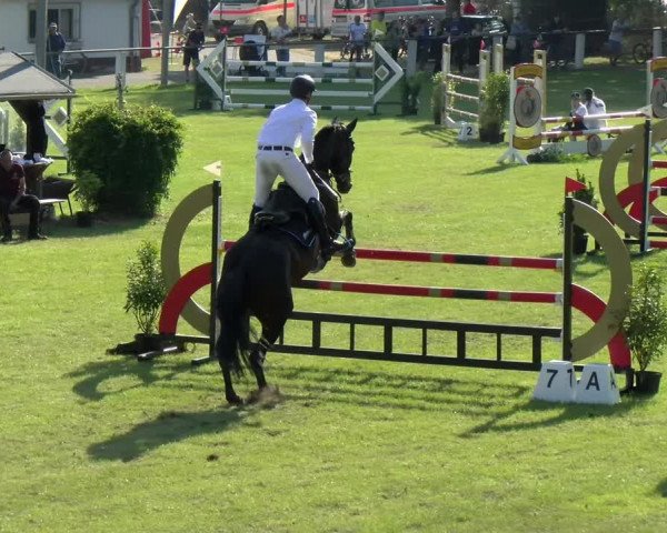 Reitturnier Forst 2022