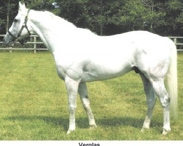stallion Verglas xx (Thoroughbred, 1994, from Highest Honor xx)