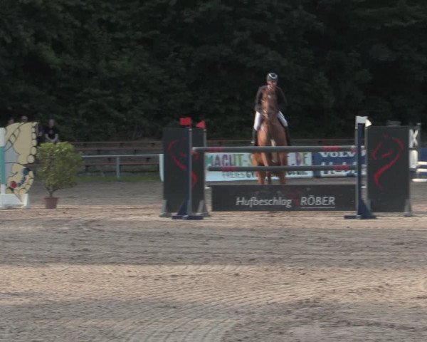 Reitturnier Lgl.-Oberhain, B95 2022