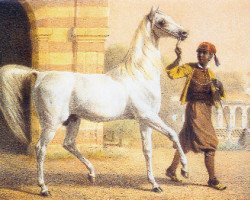 Deckhengst Bairactar DB (Vollblutaraber, 1813)