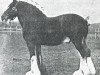 stallion Benefactor 20867 (Clydesdale, 1922, from Fyvie Sensation)