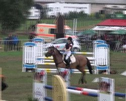 jumper Suprice 4 (German Riding Pony, 1999)