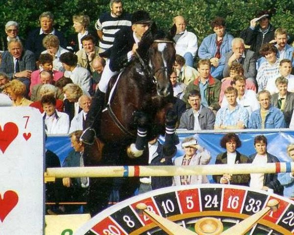 Deckhengst Zortin (Koninklijk Warmbloed Paardenstamboek Nederland (KWPN), 1981, von Marinier)