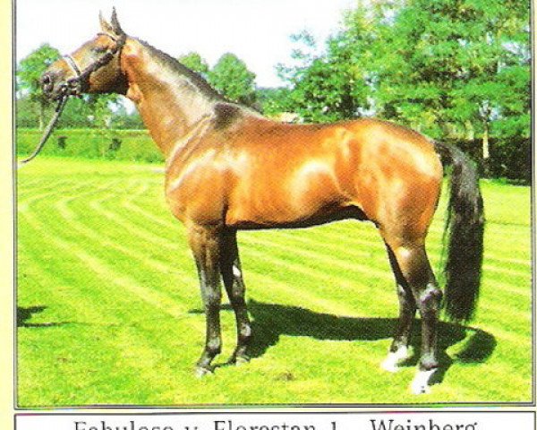 stallion Fabuloso (Westphalian, 1994, from Florestan I)