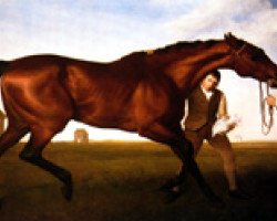 stallion Hambletonian xx (Thoroughbred, 1792, from King Fergus xx)