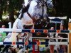 jumper Zaire 13 (KWPN (Royal Dutch Sporthorse), 2004, from Rubels)