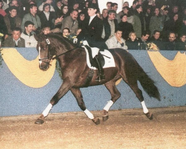 Pferd Antony (Württemberger, 1994, von Admiral II)