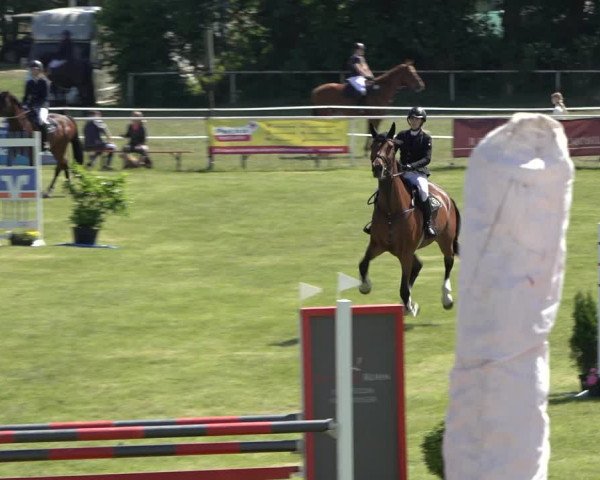 Reitturnier Pennigbüttel 2022