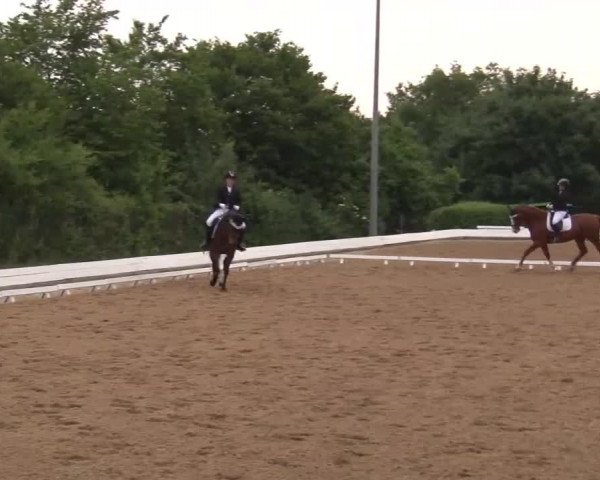 Reitturnier Neustadt/Aisch/Mfr. 2022