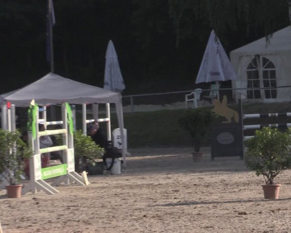 Reitturnier Lgl.-Oberhain, B95 2022