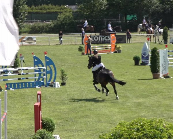 Reitturnier Pennigbüttel 2022