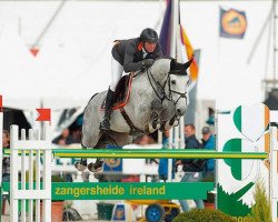 jumper Chabento (Oldenburg show jumper, 2005, from Chacco-Blue)