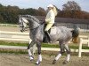 horse Windhof's Zampino (Arab half breed / Partbred, 2002, from Windhof's Zenith AA)