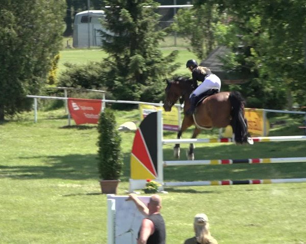 Reitturnier Pennigbüttel 2022