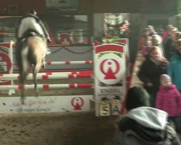 Zuchtstute Caprice 450 (Westfale, 2006, von Chin Chin)
