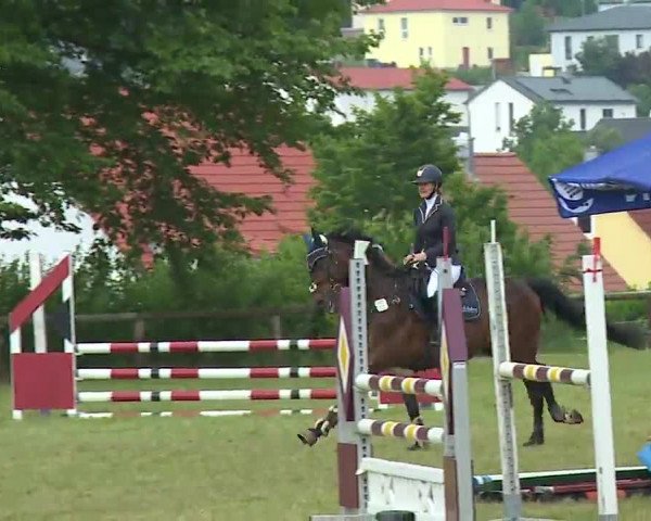 Reitturnier Neustadt/Aisch/Mfr. 2022