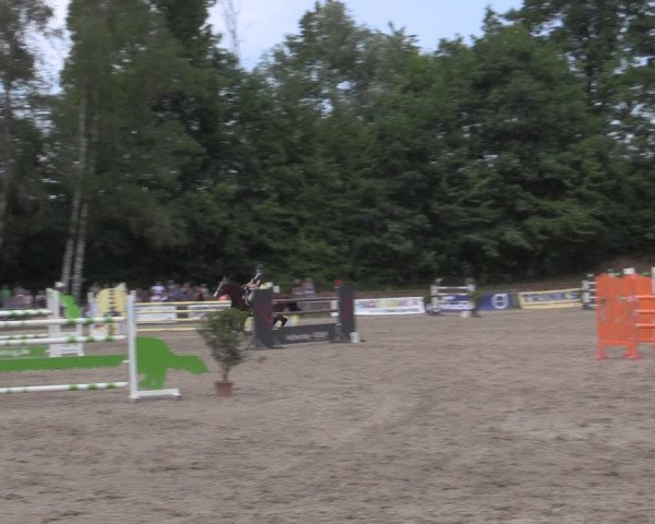Reitturnier Lgl.-Oberhain, B95 2022