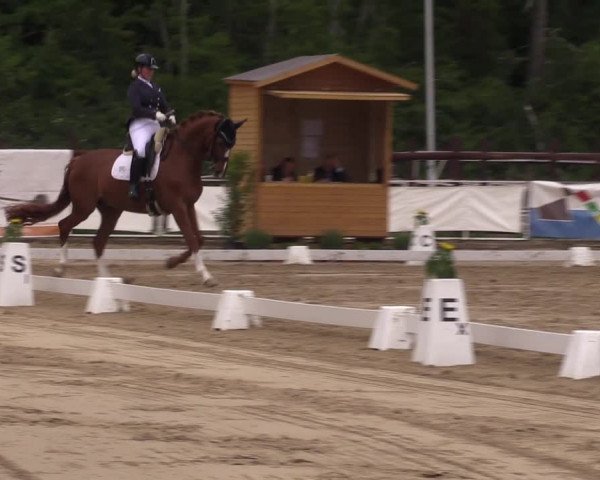 Reitturnier Frechen-Grefrath - Sonnenhof 2022