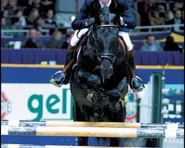 stallion Gran Corrado (Oldenburg, 1993, from Grannus)