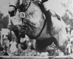 broodmare Erle (Hanoverian, 1966, from Eger II)