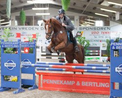 broodmare Unity (Oldenburg show jumper, 2007, from Up to date)