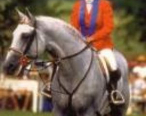 stallion Lenz (Holsteiner, 1982, from Lagos)