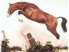 stallion Lagavulin (Westphalian, 1993, from Lord Caletto)