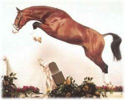 stallion Lagavulin (Westphalian, 1993, from Lord Caletto)