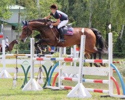 broodmare Landliebe 40 (Württemberger, 2004, from Landprinz)