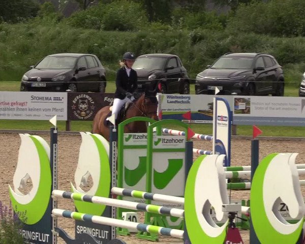 Springturnier Niebüll 2022