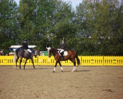 Springpferd Elaine Classic (Westfale, 2004, von Enim Pascha)