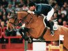 stallion Rex Z (Hanoverian, 1988, from Rebel Z I)