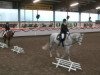 dressage horse Pumuckl's Pferdchen (Rhinelander, 2005)