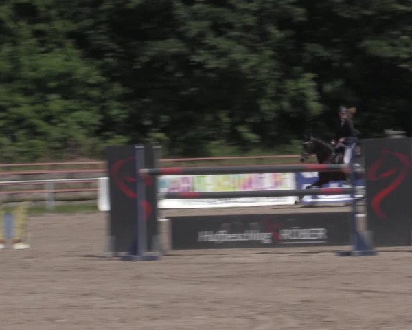 Reitturnier Lgl.-Oberhain, B95 2022