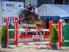 jumper Unbreak my Heart PZM (Swiss Warmblood, 2016, from Unbreakable Z)