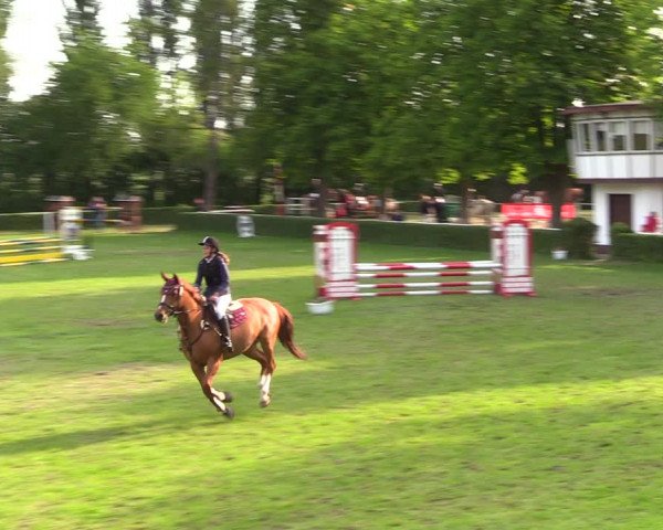 Reitturnier Westeregeln 2022