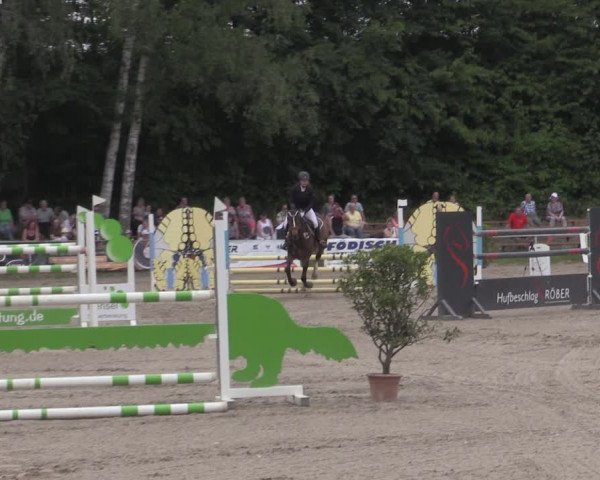 Reitturnier Lgl.-Oberhain, B95 2022