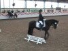 jumper Patty 20 (Welsh-Pony (Section B), 1995, from Weston Burgund)