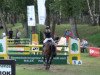 jumper Santino S 2 (Hanoverian, 2004, from San Brasil)