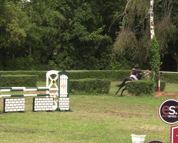 Reitturnier Westeregeln 2022