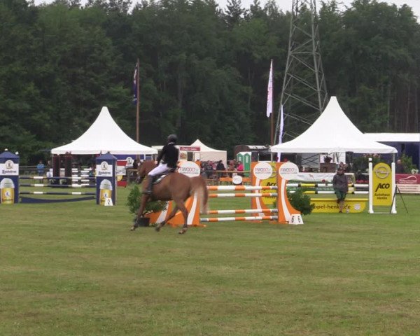 Reitturnier Horka 2022