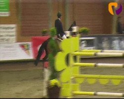 horse Charmeur Ask (unknown,  )