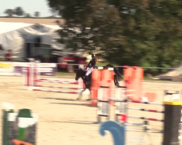 Springreitturnier Hohburg 2021