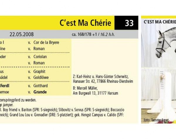 Springpferd C'Est Ma Cherie (Hannoveraner, 2008, von Calido I)
