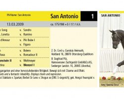 Springpferd San Antonio 23 (Hannoveraner, 2009, von San Amour I)