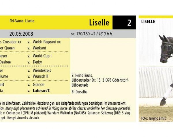 dressage horse Liselle 2 (Hanoverian, 2008, from Locksley II)