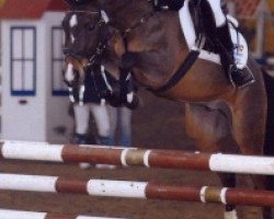 dressage horse Natan (German Riding Pony, 2002, from Nuts)